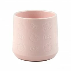 Hello Kitty X Erin Condren Special Edition Box Set